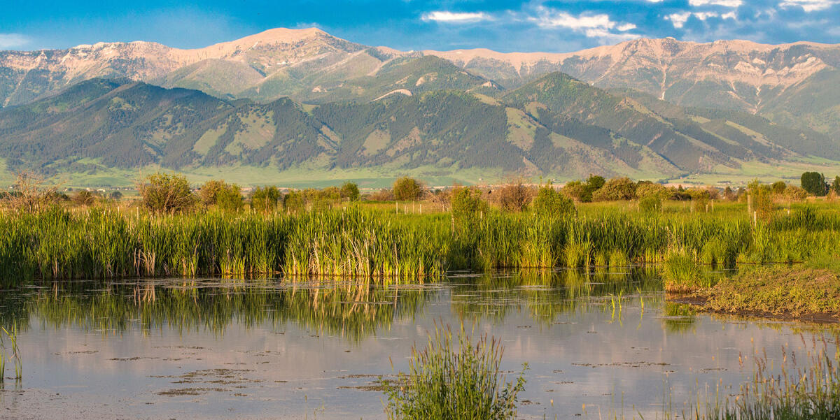 F R I D A Y  F E A T U R E 

#Montana 
Story Creek Preserve - 373± Acres
Belgrade, MT

farmandranch.com/property/story…

#farmandranch #propertyforsale #realestate #acreage #montanalandforsale