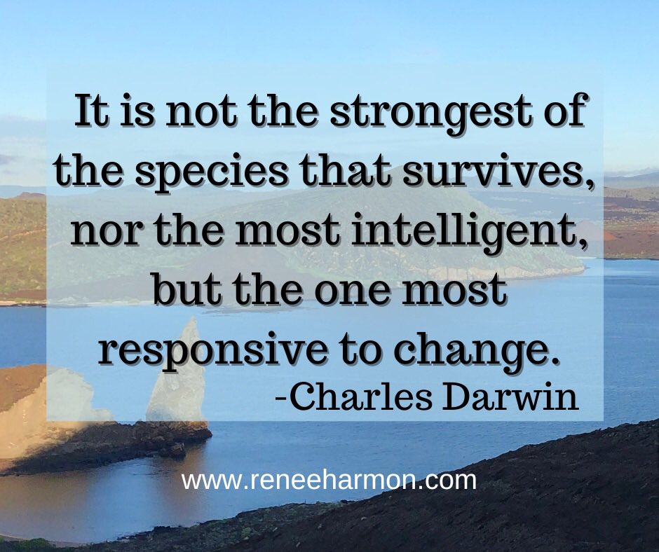 Adapting to changes in your life is vital for survival. Blog post up with HT to #charlesdarwin reneeharmon.com/2023/06/21/ada… #charlesdarwinquote #darwinsfinches #adaptation #adaptingtochange