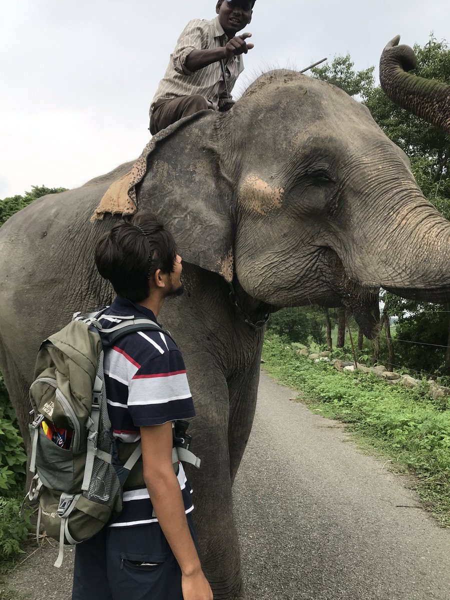 im_Sugam_pandey's tweet photo. The beauty in your eyes.
#wildlifeinNepal #NTNC #NatureBeauty #conservationist #Elephant #naturelover https://t.co/7zqjYSgkc5
