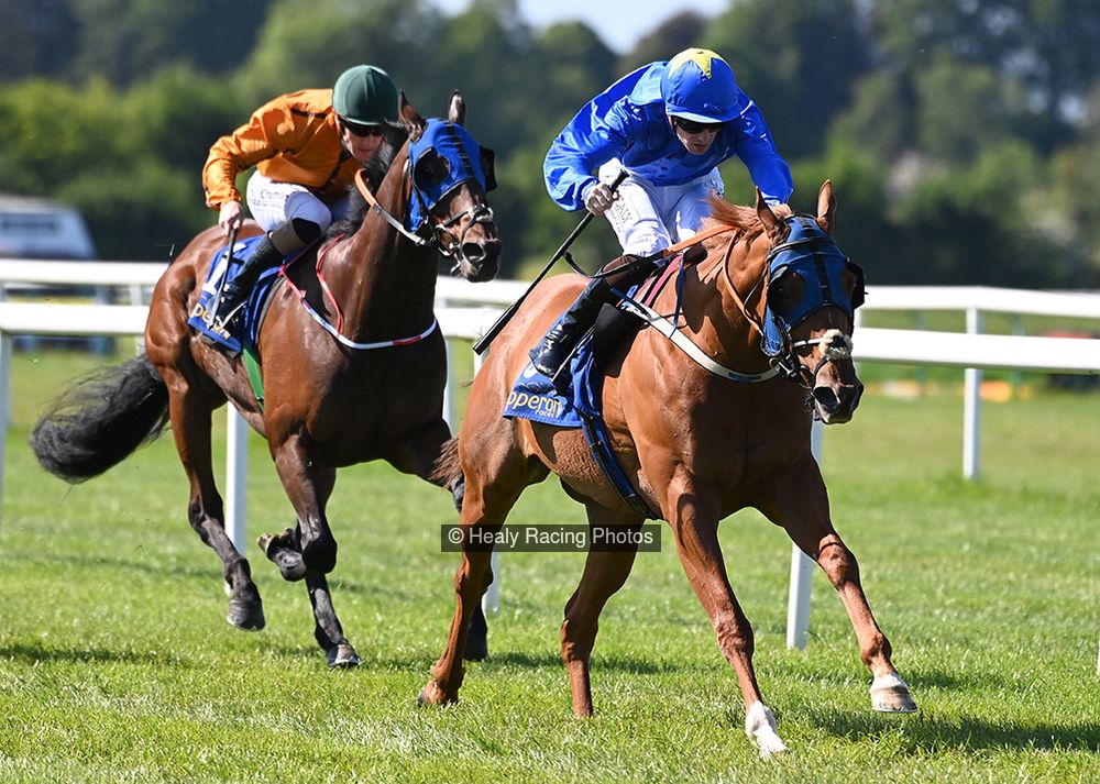 irishracing.com tweet media