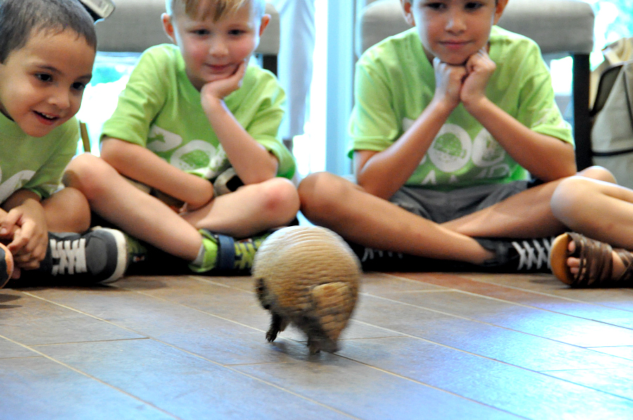 Kids Wild Night Out! A Perfect Parents Night Out For Everyone, kids stay while parents get a night out is happening this Saturday <a href="/SanAntonioZoo/">San Antonio Zoo 🦍</a>  athriftydiva.com/san-antonio-zo…