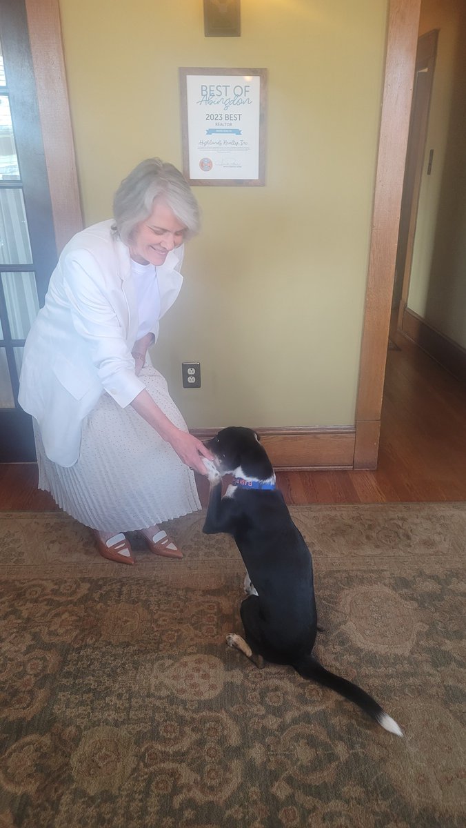 highlandsrealty's tweet photo. Happy "Bring Your Dog To Work" day!!! Can you tell we love our dogs here at HRI? Thank you, Kathleen, Tim, Roberta, Taylor &amp; Bear for sharing your work pals with us. Show us your furry friends to help us celebrate below! 👇 #BringYourDogToWorkDay #Dogs #pupperpics https://t.co/vFS49aKZNN