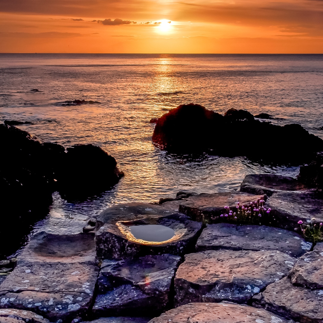 Sunset like liquid gold...✨✨

📍The Giant's Causeway

Courtesy of Dave Hudspeth 

#thegiantscauseway #ireland #northernireland #wildroverdaytours