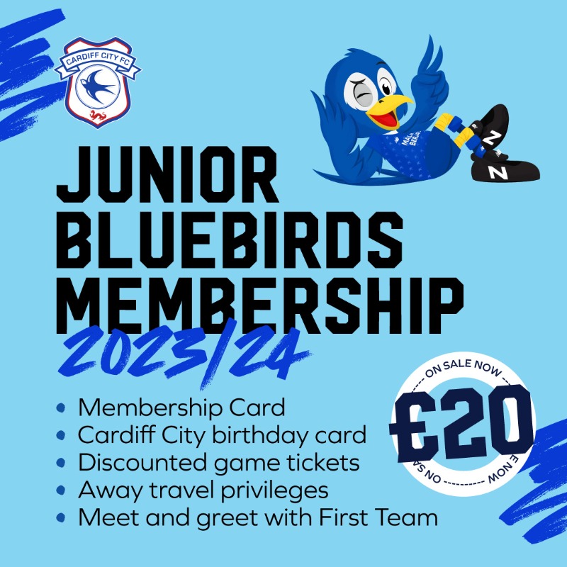 Cardiff City season preview 2023/24: Will the Bluebirds have