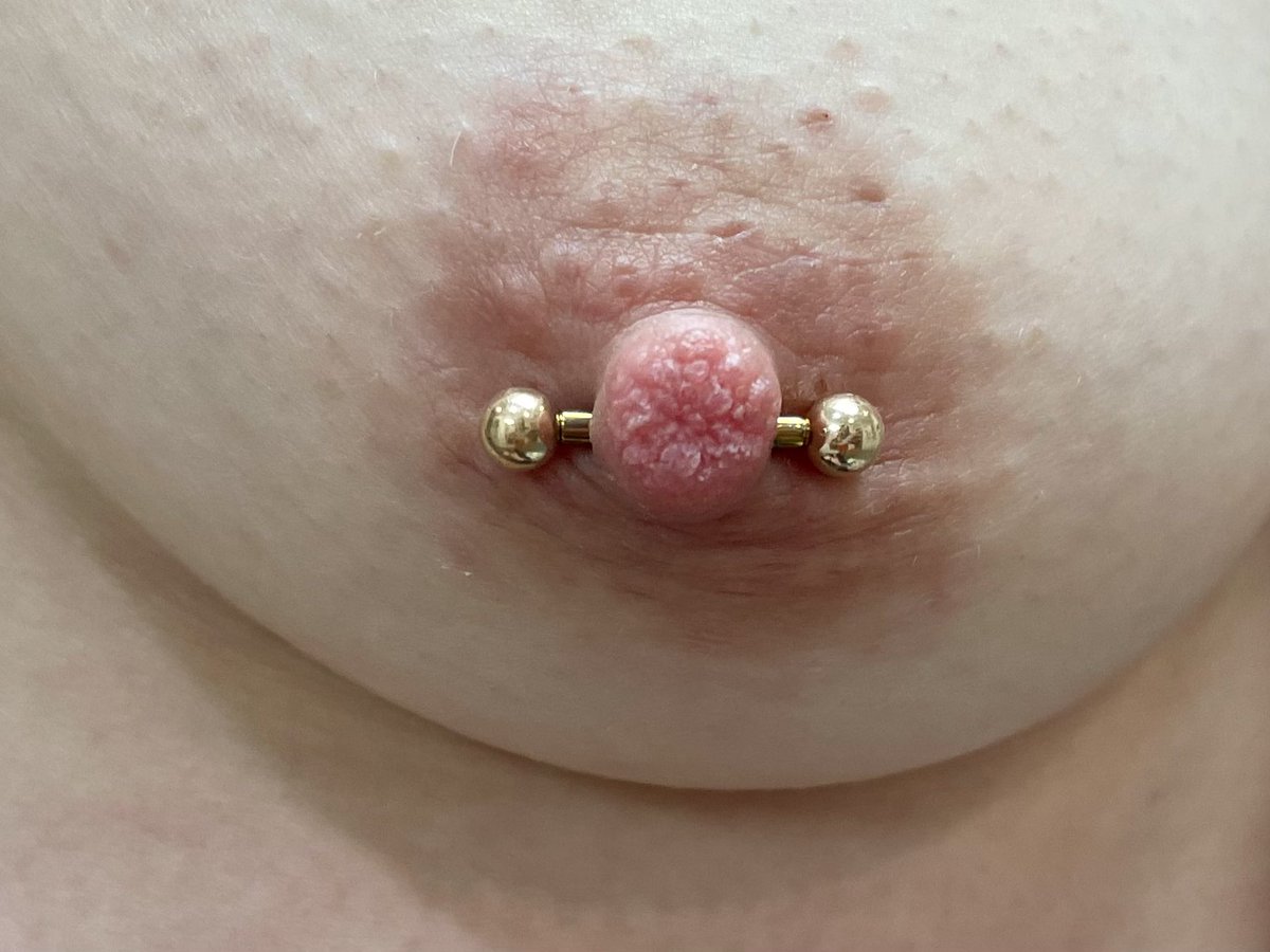 piercercat's tweet photo. Nipple piercings with yellow gold ✨ https://t.co/JKJPI27Mss