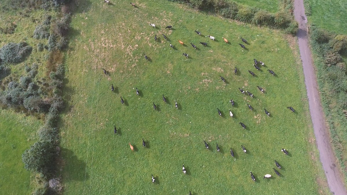 As highlighted by #youngfarmers from all over Europe, #sustainability counts numerous tools. Often poorly perceived, the livestock sector remains nevertheless one of our most precious assets in our pathway to more [...]sustainable agriculture.

Read more➡️ bit.ly/3piCR1p