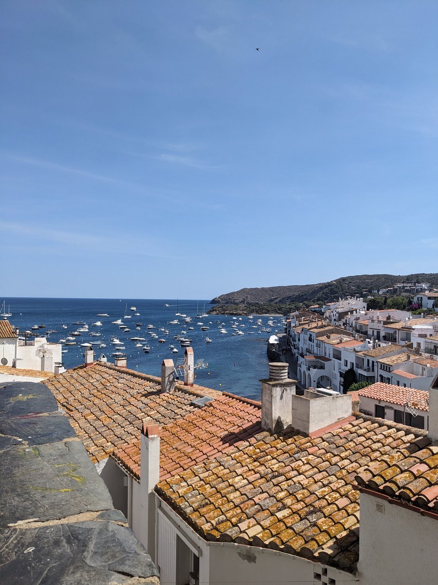 Alma Mary tweet media