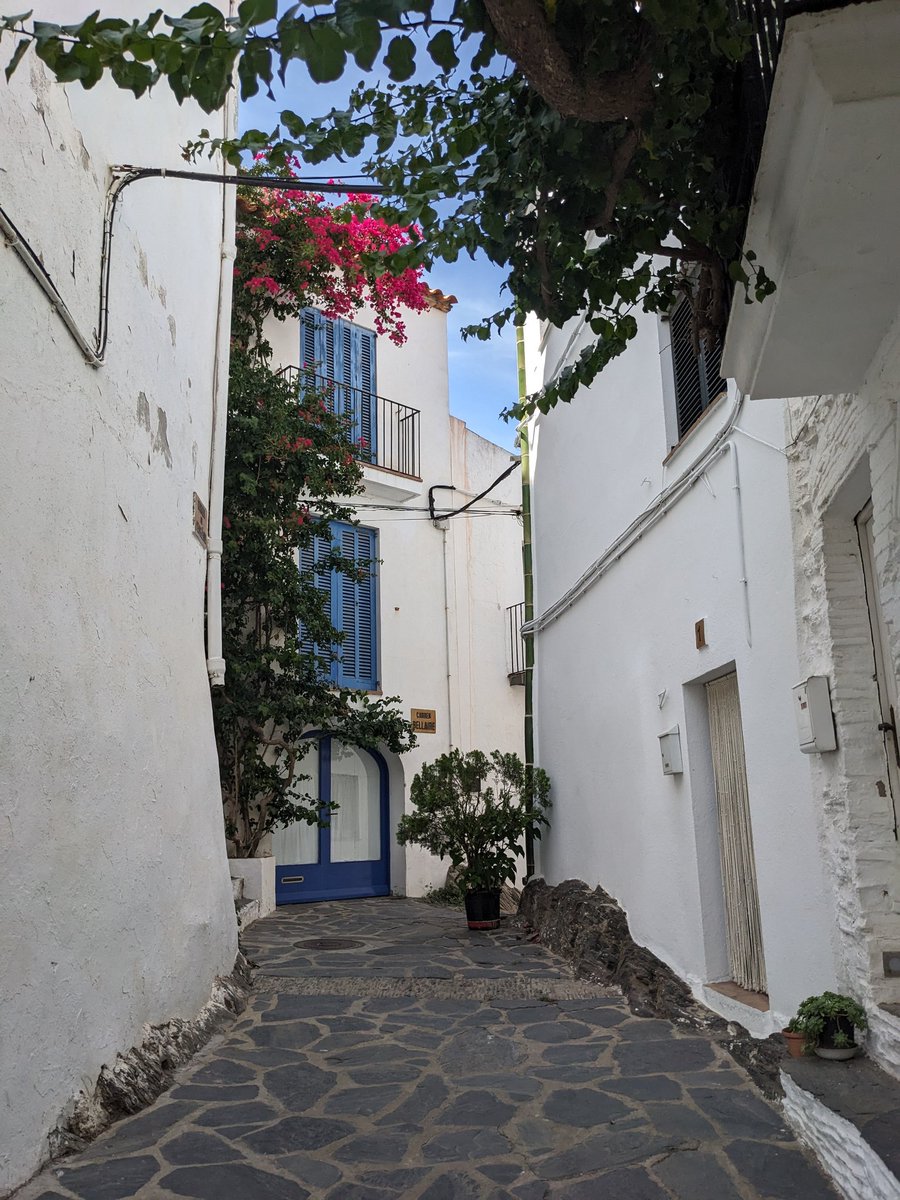 Alma Mary tweet media