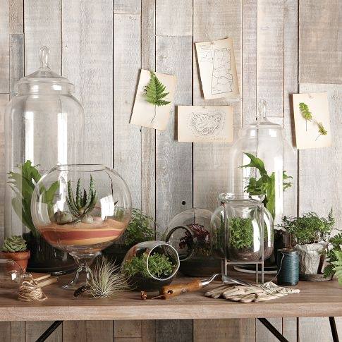 BlogDecoManitas's tweet image. 🆕 DIY - Hazlo tú mismo 😍

🏠🪴 Os enseñamos cómo podéis hacer terrarios de plantas crasas con tarros de cristal... ⬇️

#deco #decoracion #decoración #diy #hazlotumismo #terrarios #plantascrasas #tarros #cristal #Decomanitas 

📲 decomanitas.com/hacer-terrario…