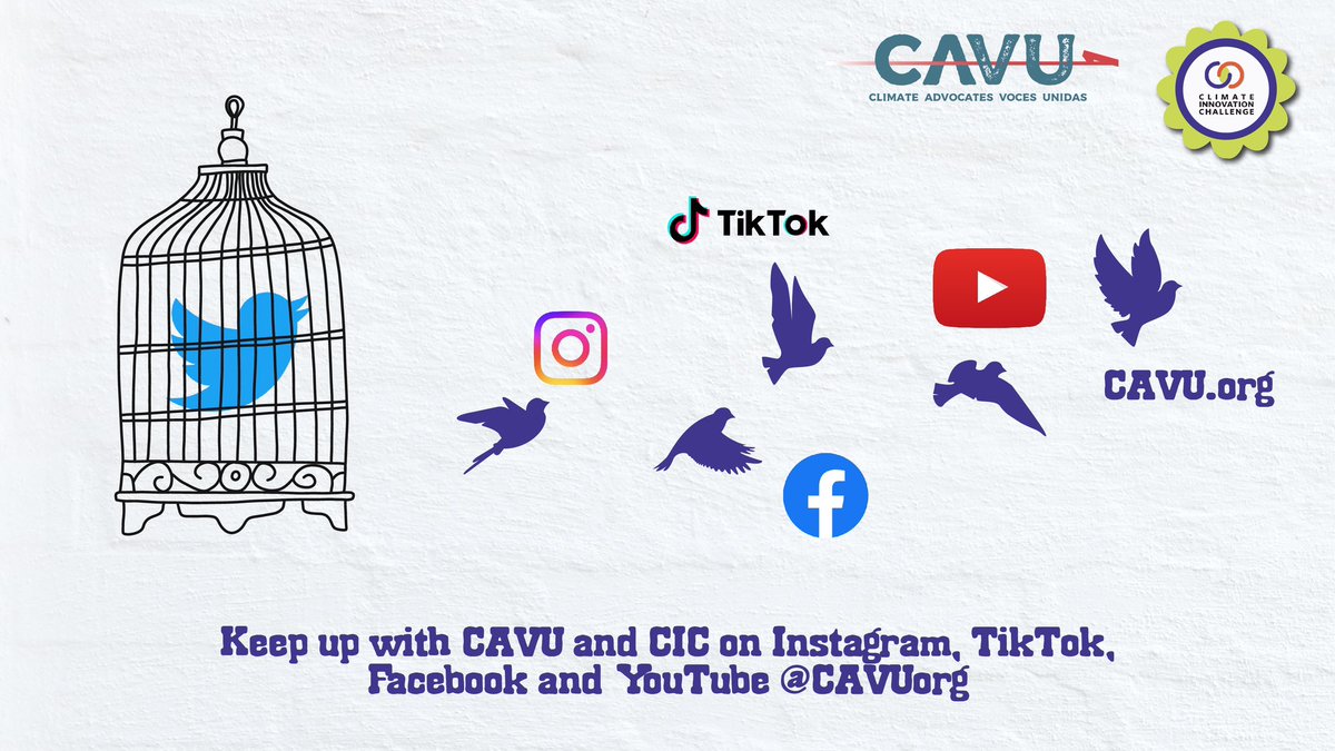 Goodbye, Twitter. See you @CAVUorg everywhere else!