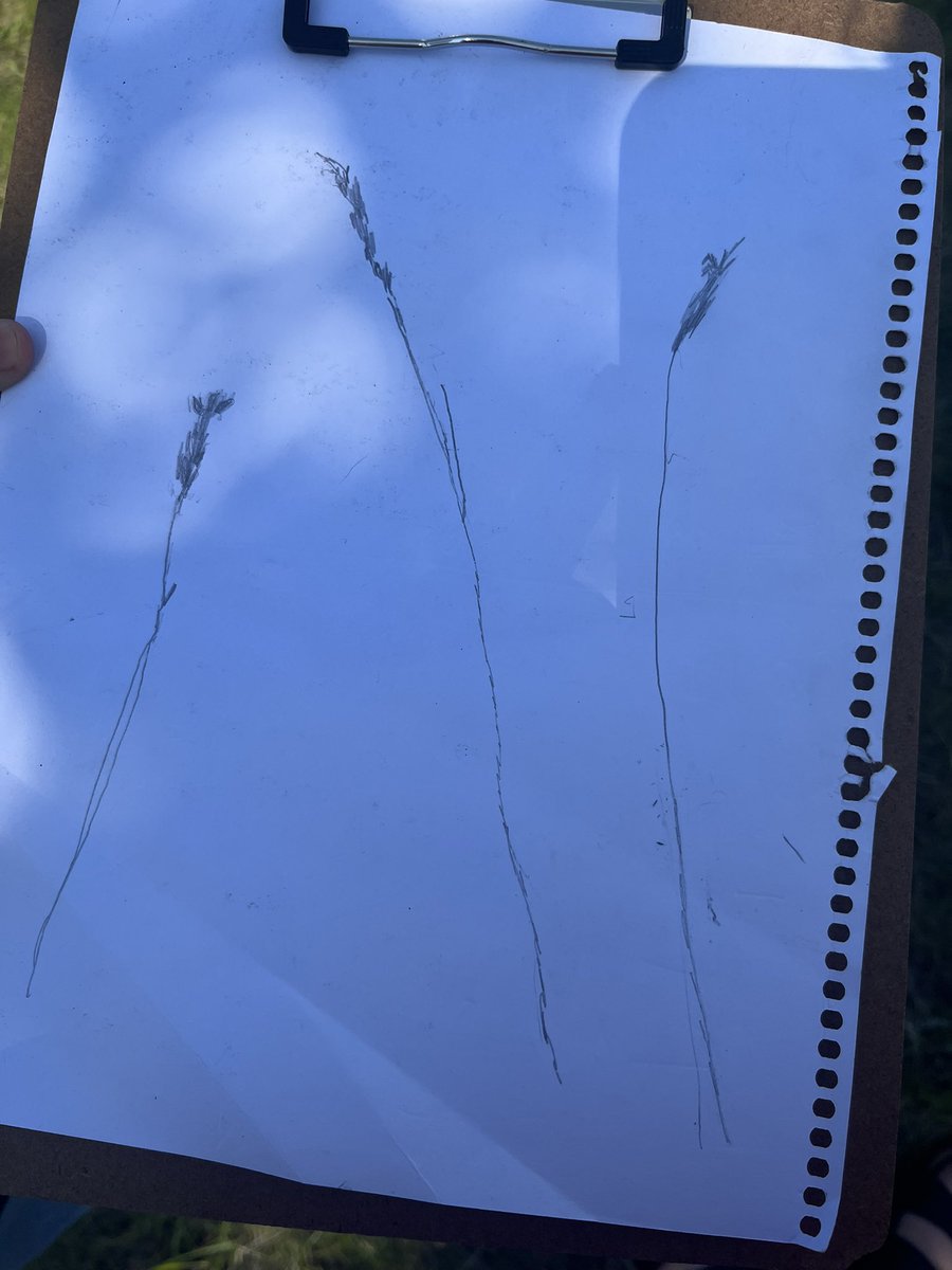 Mrs. Burgess tweet media