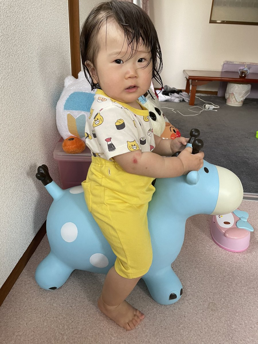 _myp_x's tweet photo. 最近よくキリン🦒乗ってる💙💙 https://t.co/aPyiIviUSe