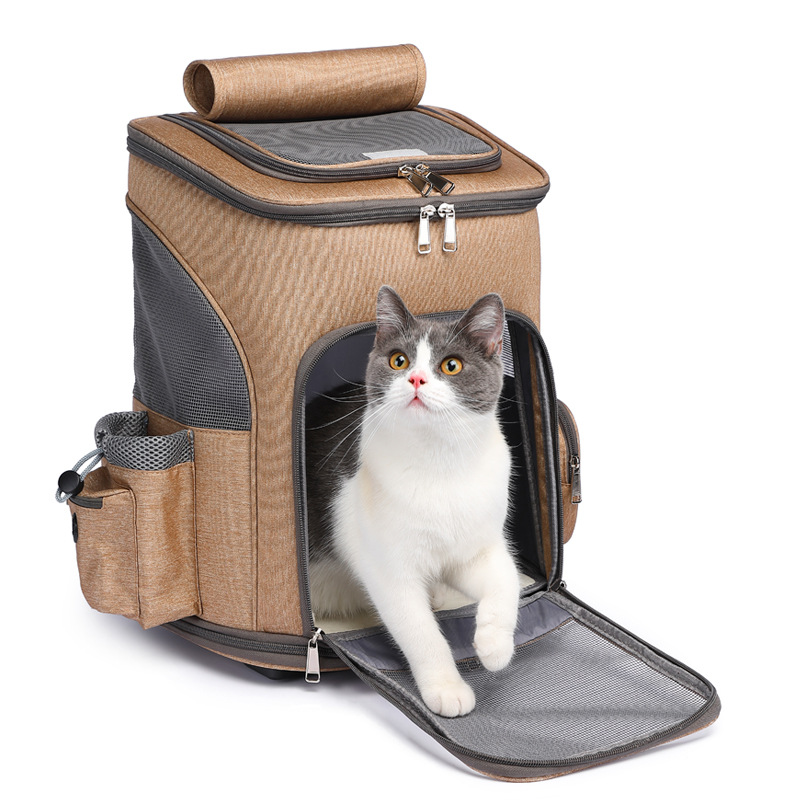 Sarah_Reyes111's tweet image. Portable Folding Trolley Pet Backpack Traveling Cat Backpack With Universal Wheel Trolley Pet Bag

jpnyx.com/products/porta…
Buy Now!

#backpacktravel #portable #bags #petstore  #onlinemarketing #ordernow #buynow #onlineshop #usa