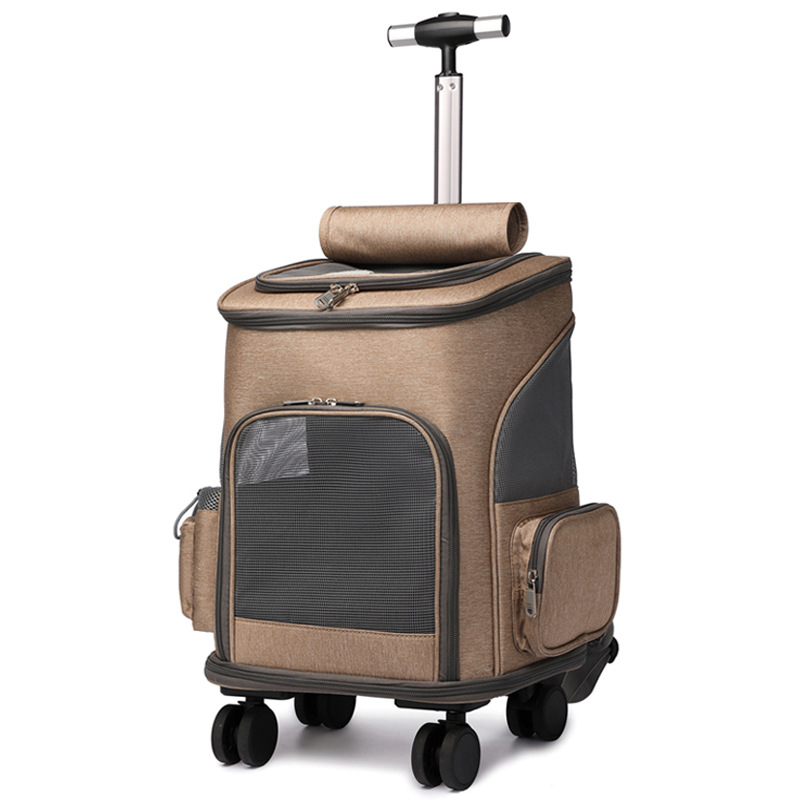 Sarah_Reyes111's tweet image. Portable Folding Trolley Pet Backpack Traveling Cat Backpack With Universal Wheel Trolley Pet Bag

jpnyx.com/products/porta…
Buy Now!

#backpacktravel #portable #bags #petstore  #onlinemarketing #ordernow #buynow #onlineshop #usa