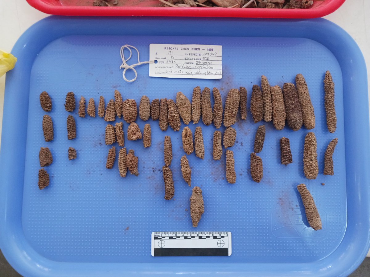 Heather Chamberlain tweet media