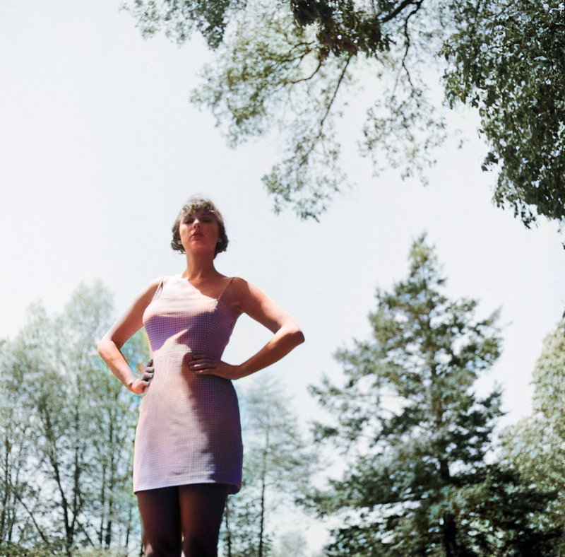 Colorize_Bot 🤖🌈 tweet media