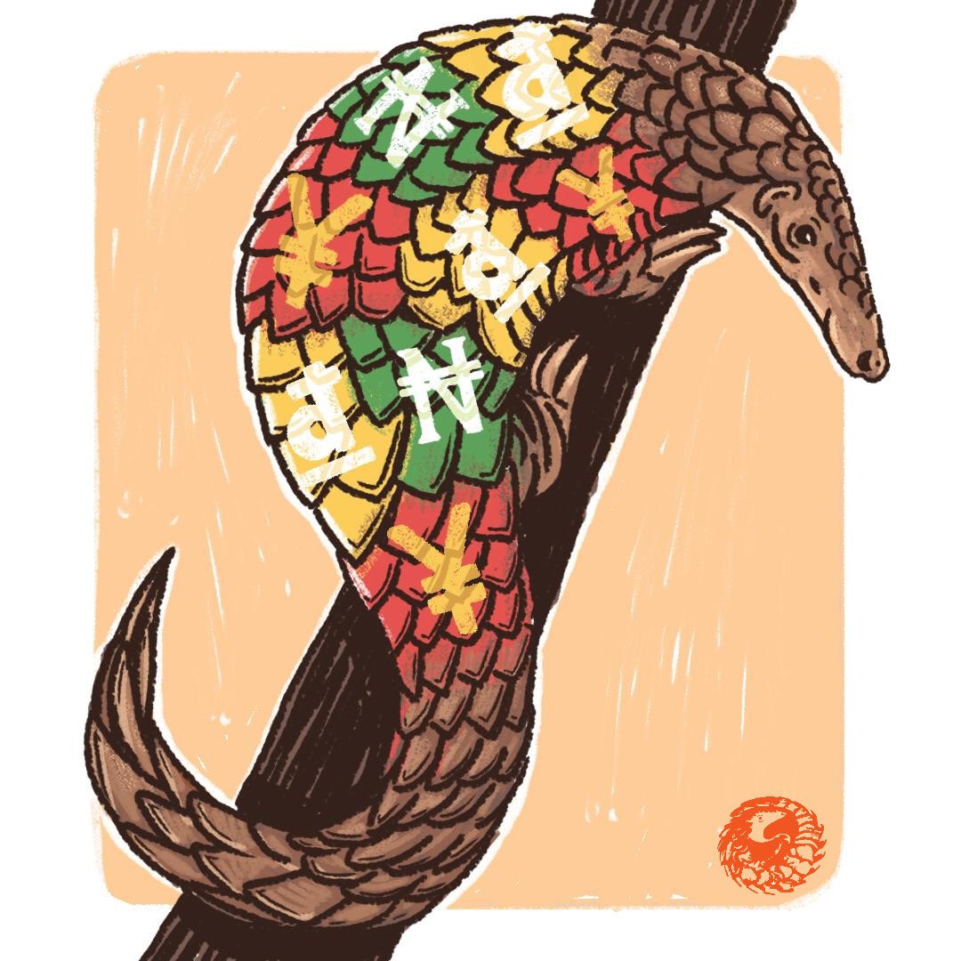 Pangolins are the world's most trafficked mammal, partly because their scales are thought to have medicinal value in certain parts of the world. 
Learn more about pangolin conservation and submit your own pangolin art at pangolino.org.
(Drawing by Dan Blaushild)