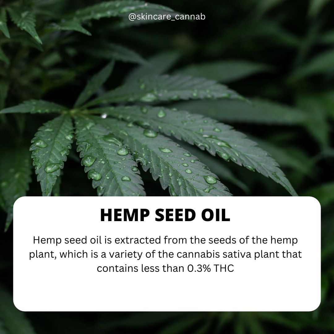 Alongside Hemp Seed Oil, there are 3 types of CBD.
Here’s the difference…🍃🍃🙂

JULY BOOKS ARE OPEN!!
cannabskinspa.com

#cbdskincare #cbdbenefits #hempseedoil #esthetician #atlesthetician #skincare #naturalskincare #plantbased #infusedfacial #cannabiscommunity