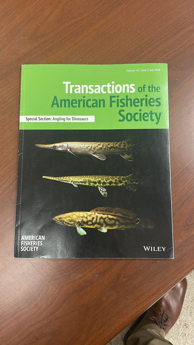 Jeffrey A. Stein tweet media