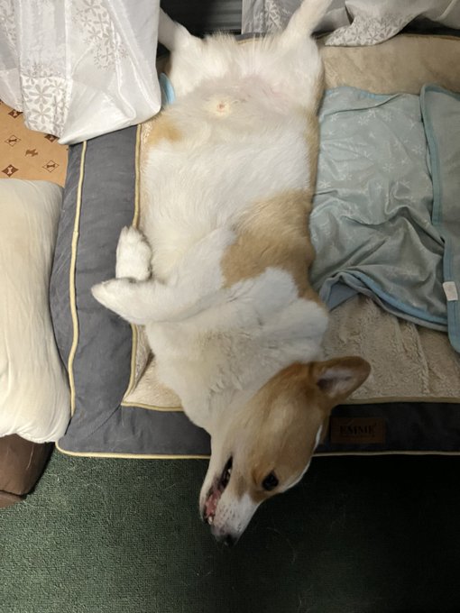 おはようございます。 