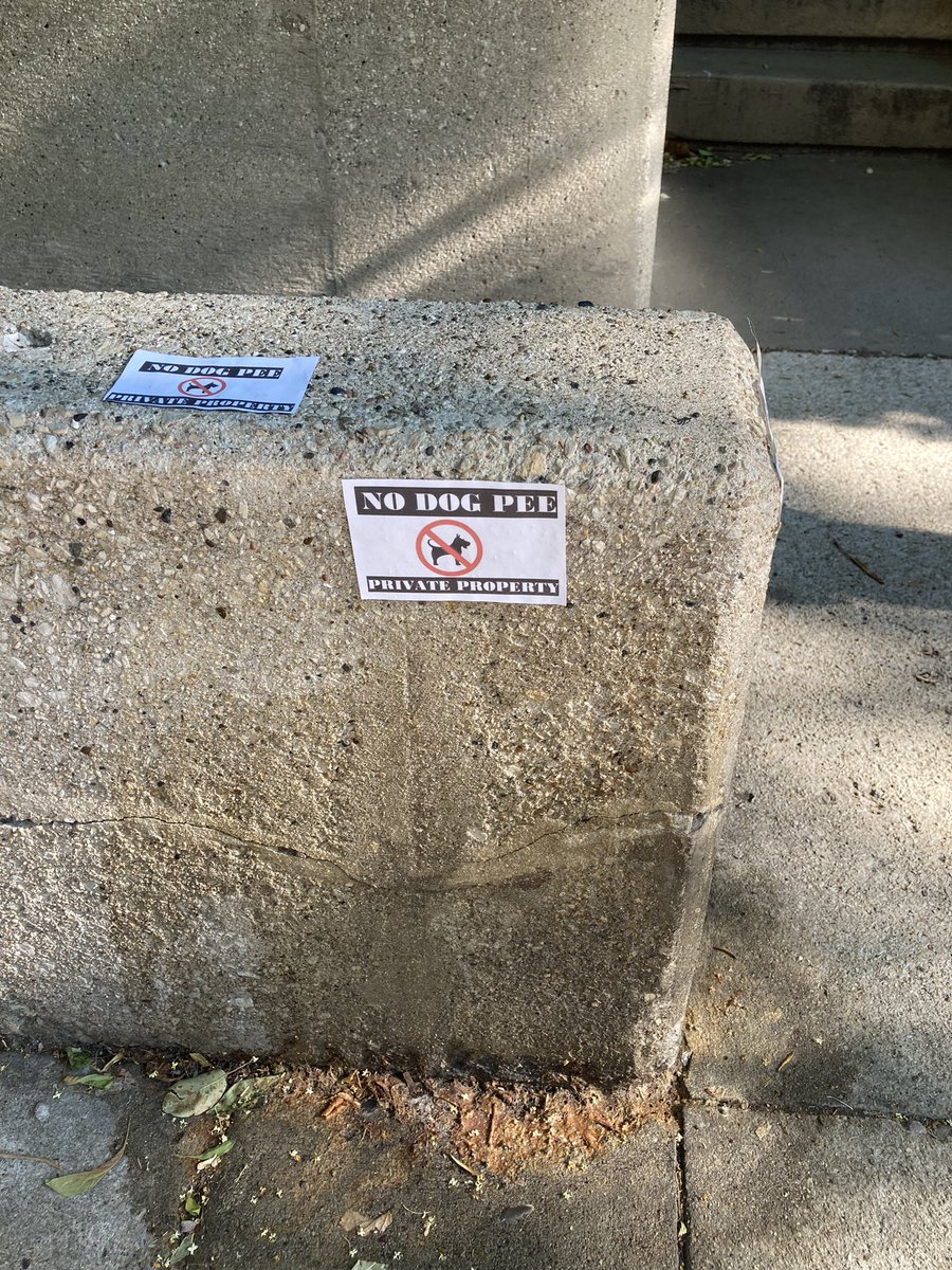 Gregory Pratt on Twitter "Yeah, that’ll stop the dog pee"