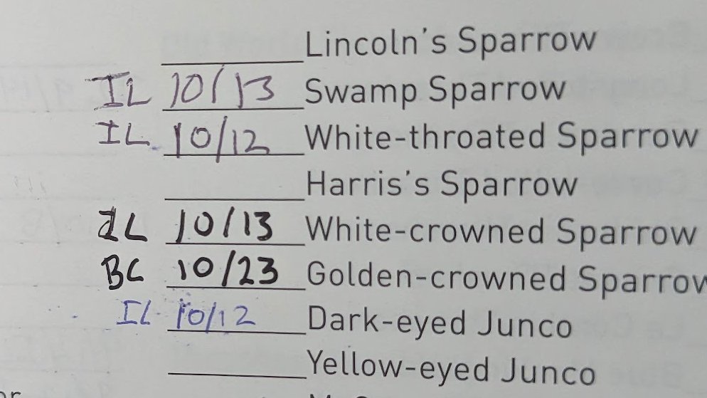 Logan Ward tweet media