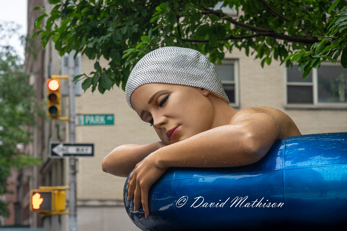 Survival of Serena by @CaroleFeuerman on Park Ave &amp; 36th Street. 

I❤️NY