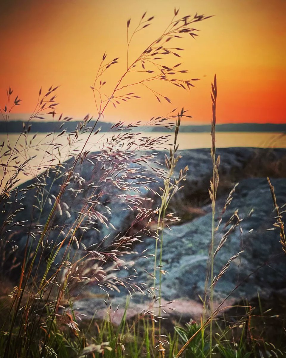 #Midsummer midnight magic by the Archipelago Sea #BalticSea