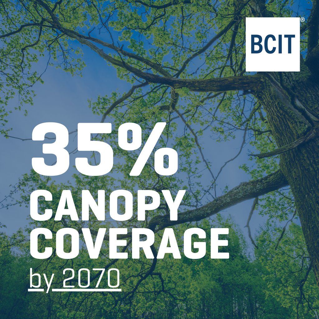 BCIT’s Tree planting strategy includes progressive targets which include a 35% canopy coverage campus wide by 2070. 

#BCIT #BCITCPF 
#BCITtrees