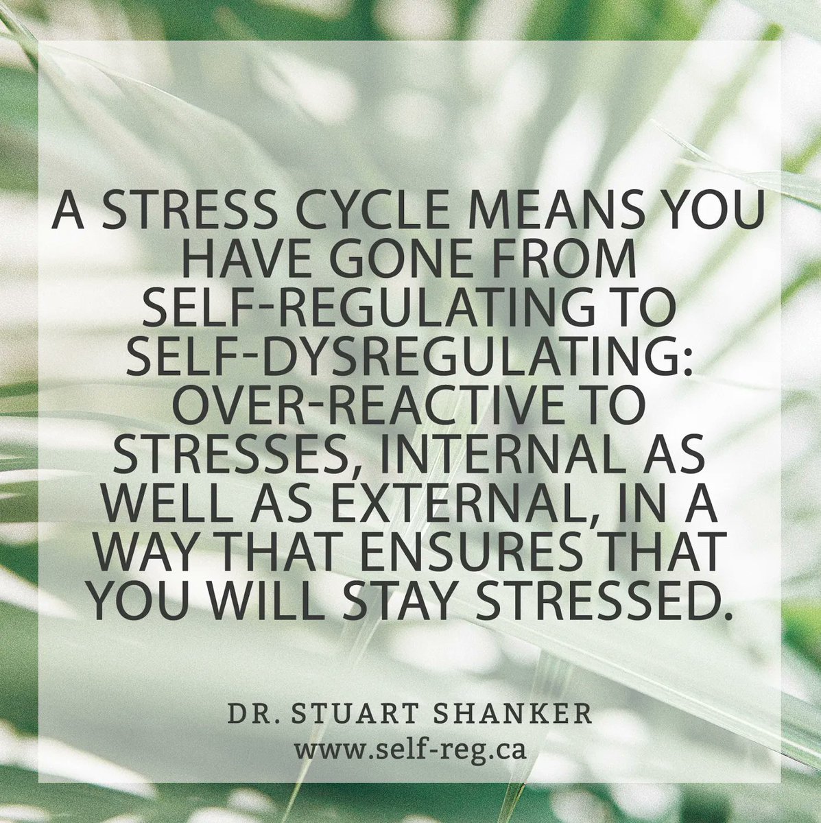 "A stress cycle means you have gone from self-regulating to self-dysregulating: over-reactive to stress – internal as well as external – in a way that ensures that you will stay stressed." ~ Stuart Shanker
self-reg.ca

#ShankerWisdom #SelfReg