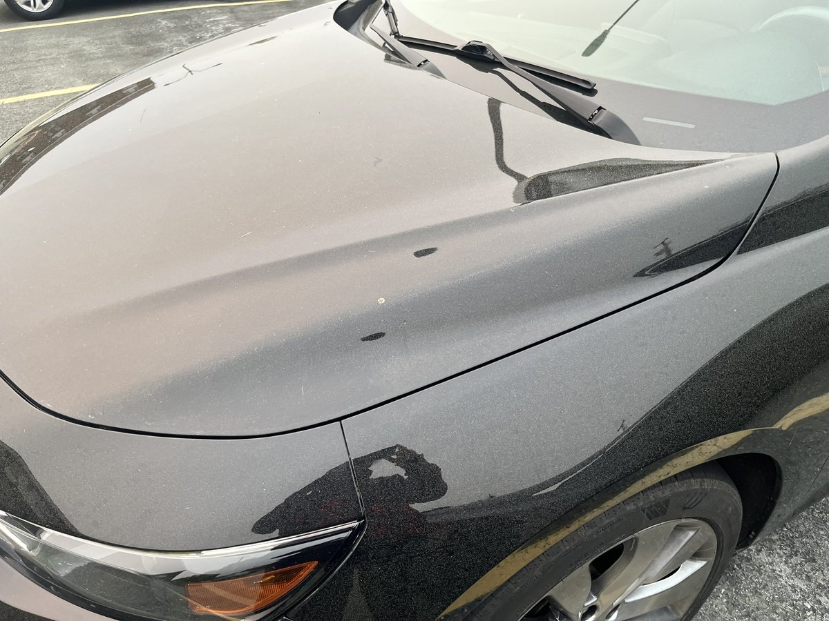 dawn_kimmy_nl's tweet photo. Who was asking about pollen in the air? My cars been parked all week and it looks yellow not metallic black! ๐ was it @ToddGBaker ? #pollenator https://t.co/G9pvAU0IEI