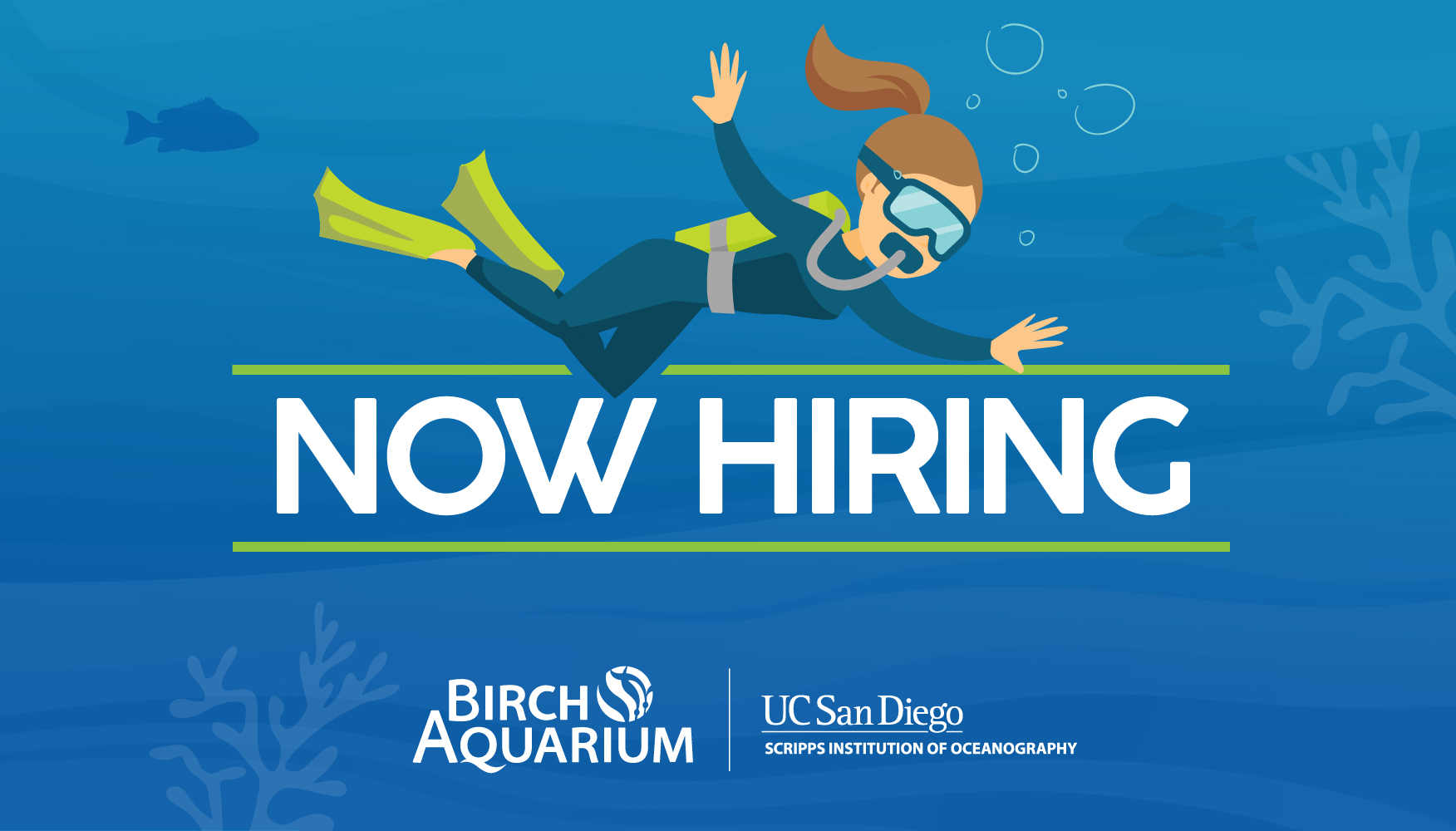 Curator's Words: Birch Aquarium Explores 'Meditation Ocean'