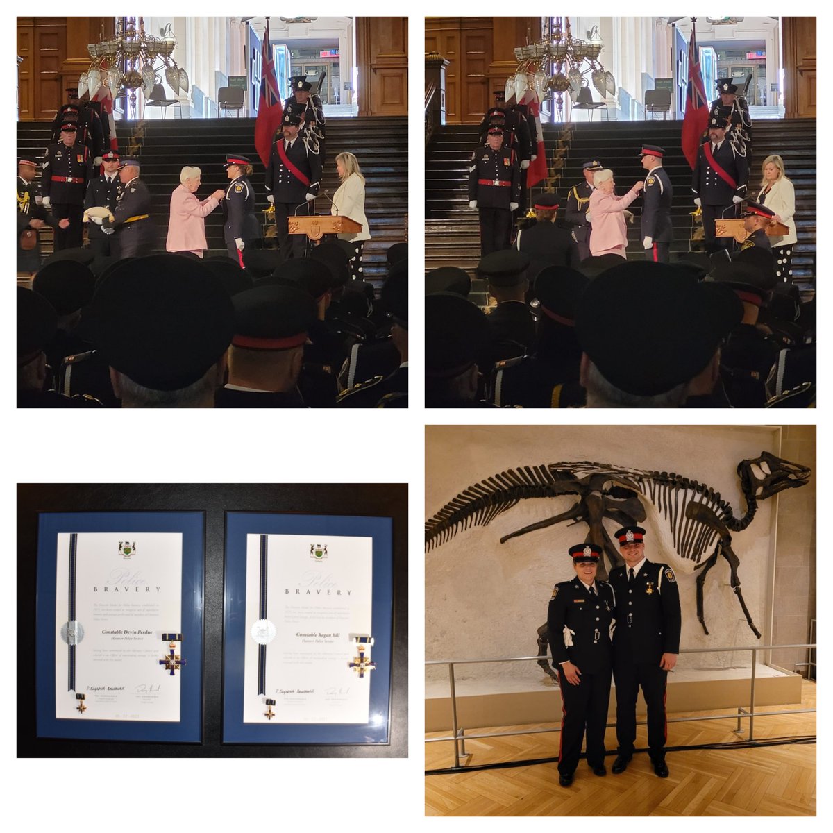 Christopher Knoll tweet media