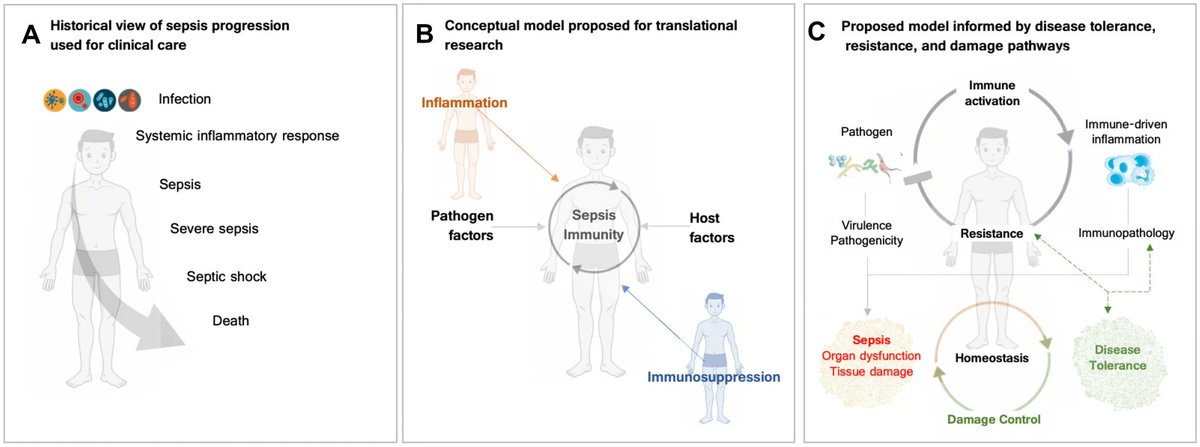 ABsteward's tweet image. Most clinicians and researchers do not yet include disease tolerance in their perception of critical illness or sepsis
What’s new in intensive care: disease tolerance
A conceptual model of sepsis.#IDTwitter #CCTwitter
link.springer.com/article/10.100…