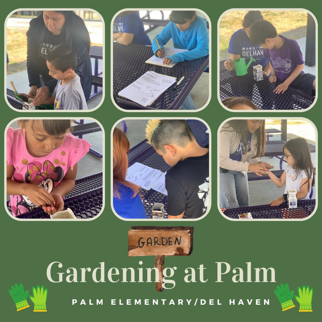 Palm students are creating summer gardens this beautiful Friday afternoon during our Del Haven Summer Program.  Thank you, coaches!  Our families appreciate your hardwork in engaging our students with hands on activities throughout the program.  #proudtobehlpusd🐾♻