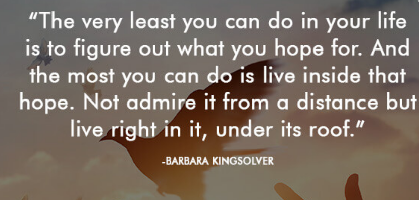 tisookzo's tweet photo. #Hope #BarbaraKingsolver https://t.co/EEFXpfavaf