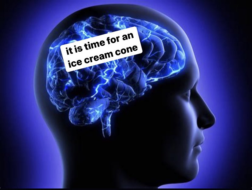 my brain at 8:30 pm every single night during the summer