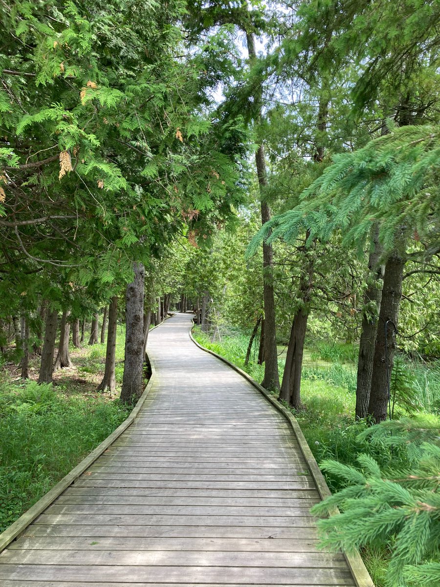 usfs_r9's tweet photo. Strolling through the day's feed and feeling...
😟stressed
😴tired
maybe even...😠angry?
Stop what you're doing and get outside!
Getting out in nature reduces your stress levels and your blood pressure while boosting your immune system and your mood! #Winning #VitaminTree https://t.co/qRTy06Qo3M