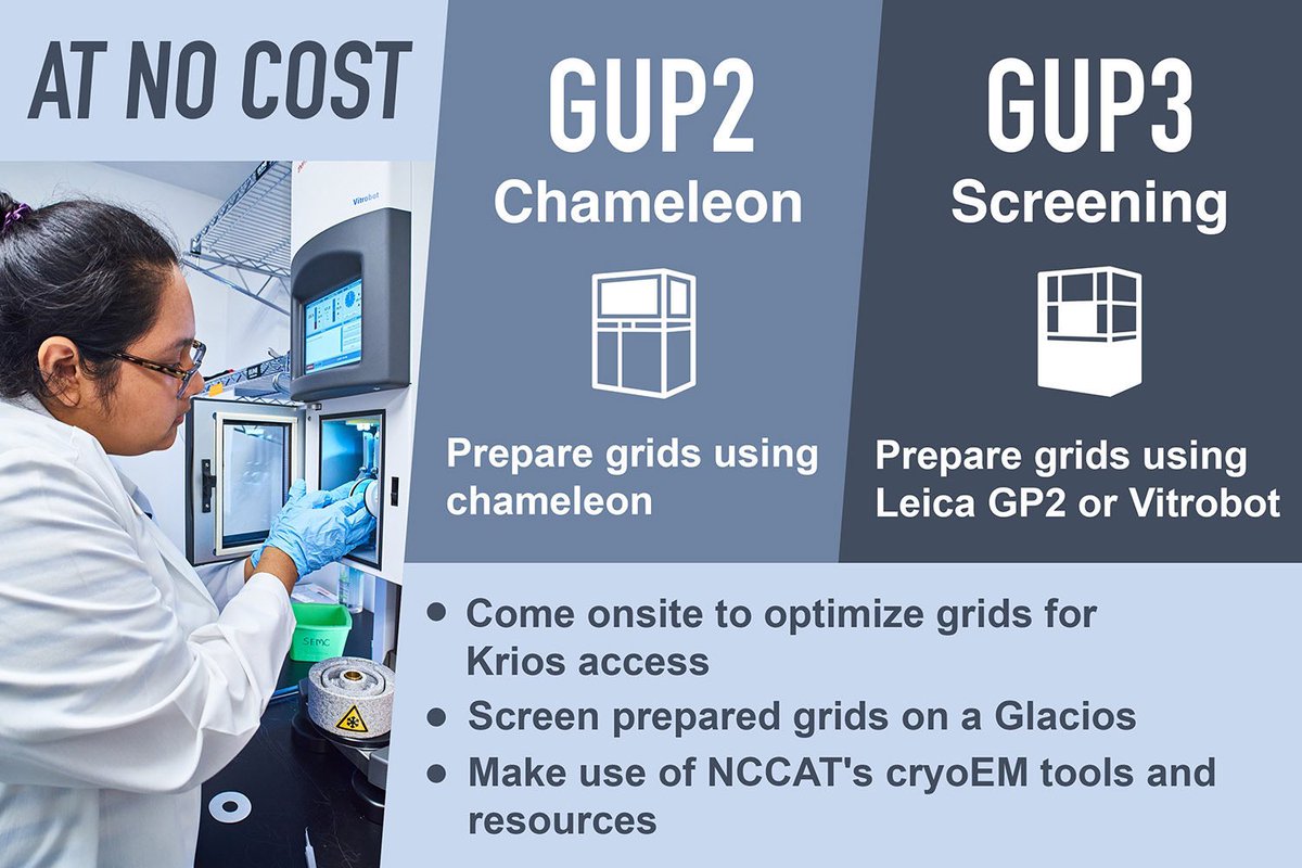 NCCATinfo's tweet photo. NCCAT's next proposal deadline is July 1, 2023. The GUP2 and GUP3 access programs support #cryoEM sample preparation and screening.

Apply today: https://t.co/NErNElM5rC

@NCCATInfo - Broadening Access to #CryoEM Technology &amp; Training. https://t.co/cPmXI3seOI