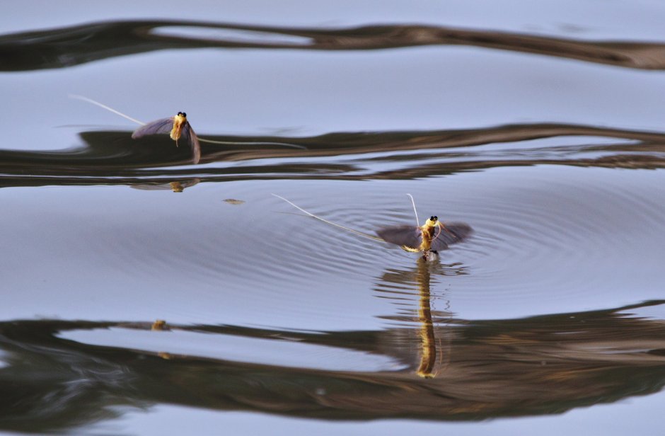 City of Red Wing, MN tweet media