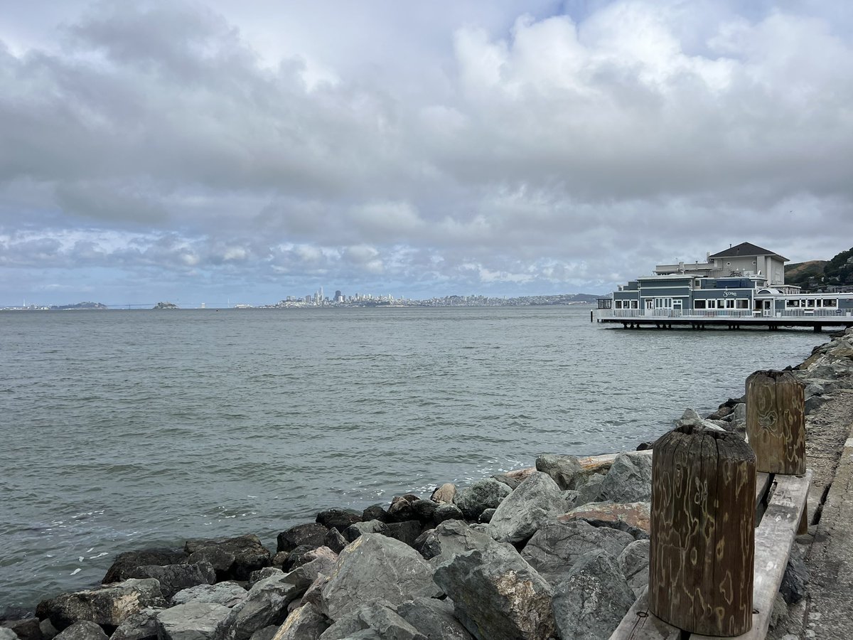 AngeliqueAshby's tweet photo. Had a work event last night in gorgeous Sausalito… a quick 90 minute drive from home in Sacramento.
Took my best girl with me. We had a great time.
California may not be perfect, but she sure is beautiful. ❤️
#California #Beauty #CityByTheBay #SFView https://t.co/iFMrRSJ7vR