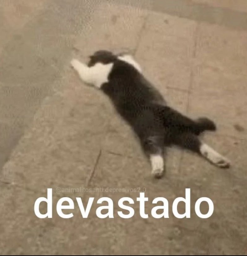 este año me tiene así