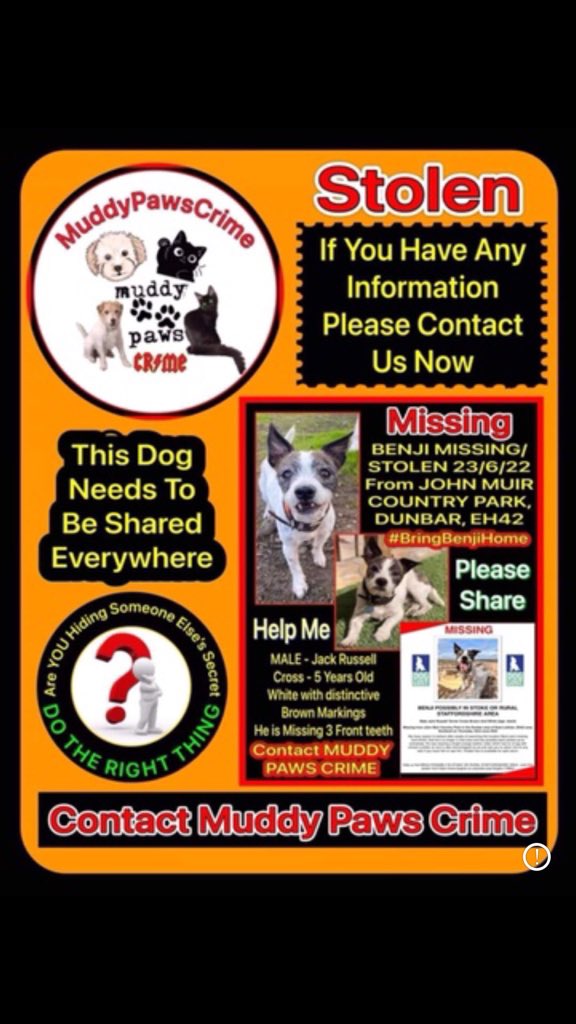 LisaLisaw1's tweet photo. #FindBenji #MissingOneYear #StopPetTheft https://t.co/rJhxpHwqTx