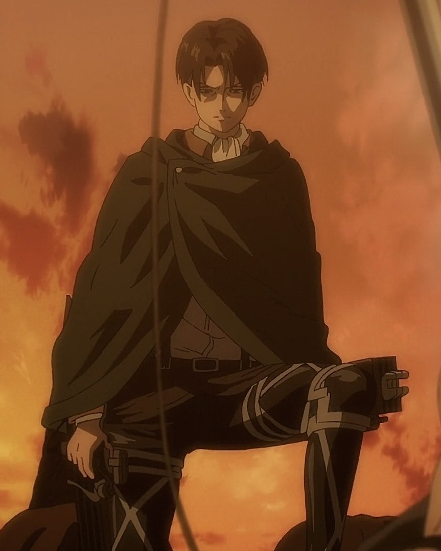 levi archives tweet media