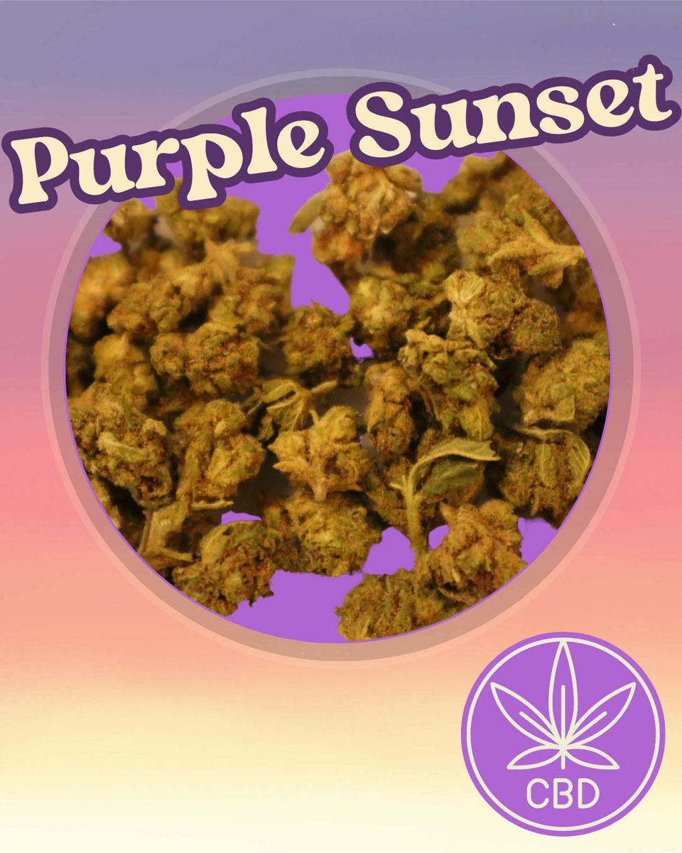 529_vapes's tweet photo. Discover the enchanting qualities of Purple Sunset CBD flower at 529 Hemp. Our knowledgeable team is here to assist you in finding the perfect strain to enhance your CBD experience! https://t.co/AKsTspelnY
