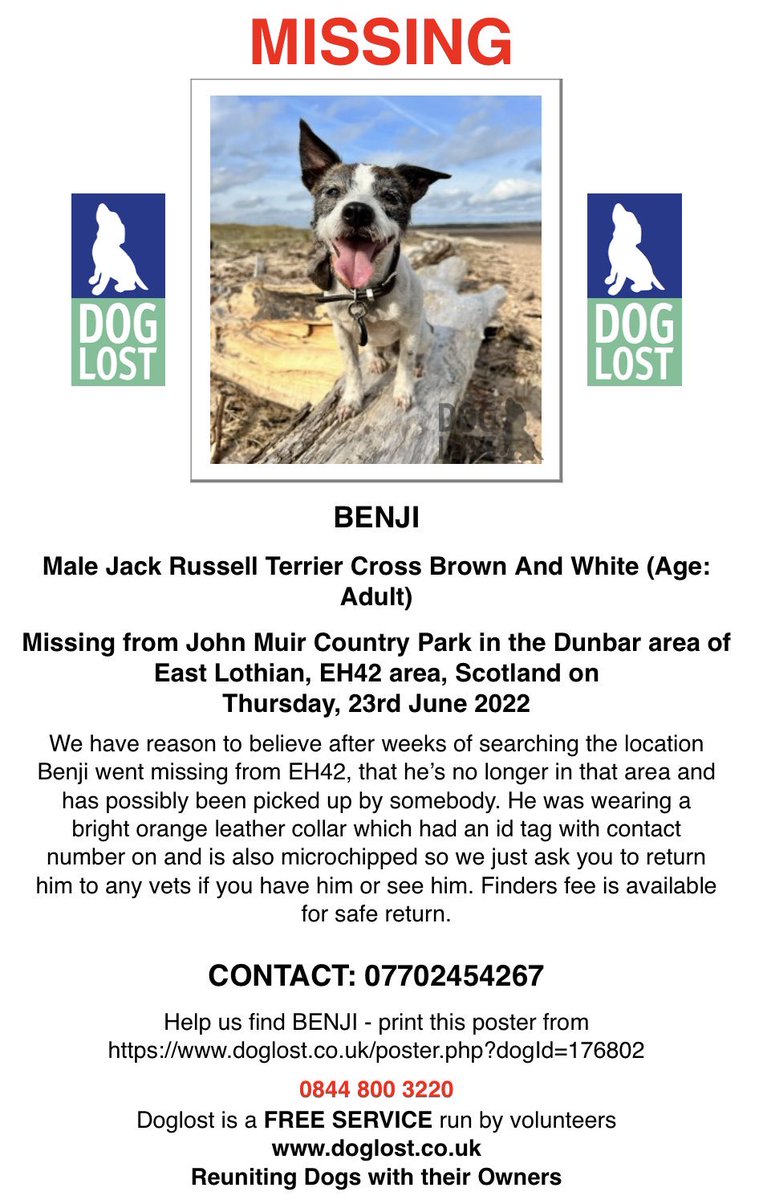 LisaLisaw1's tweet photo. #FindBenji #MissingOneYear #StopPetTheft https://t.co/wRUQVsRtGC