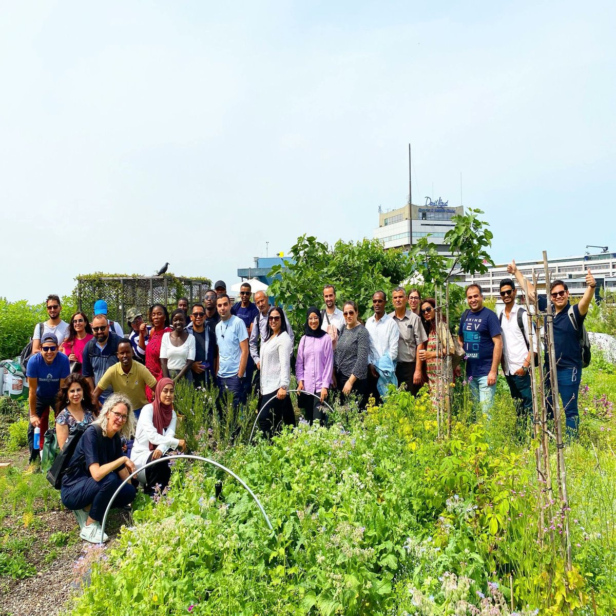 d_akkers's tweet photo. Today, via @architourNL, a large group, and many nationalities on the #DakAkker #rooftopfarm 💚. Welcome in #Rotterdam in the #architecturemonth2023 !
📷: Sr. #rooftopguide Rob van Katwijk 🌱🌻🥕🍅🌶🥒 https://t.co/JtXKlwxW1A