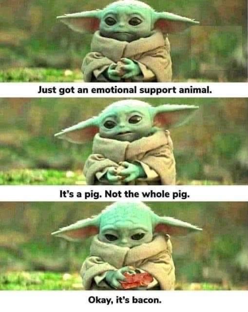 🥓Bacon makes me happy too... Happy Friday! 

#EatPork #KPA GCC #MovingForwardTogether