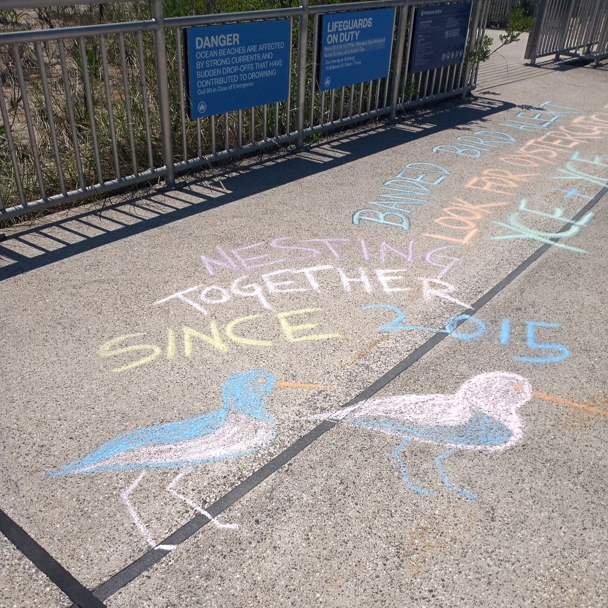 School is out and the beach is calling!! Volunteer to create #ShareTheShore conservation chalk art messages supporting endangered and threatened shorebirds at Rockaway Beach on Wed., 6/28, 1pm. Chalk art supplies & messages will be provided. Register here: nycgovparks.org/events/2023/06…