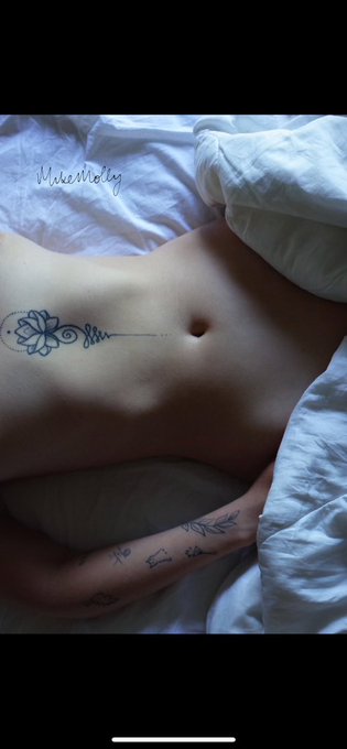 good night cats https://t.co/RsFFURFOw0